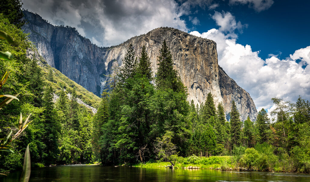 Yosemite Valley, El Capitan and Merced River (Kim Carroll)