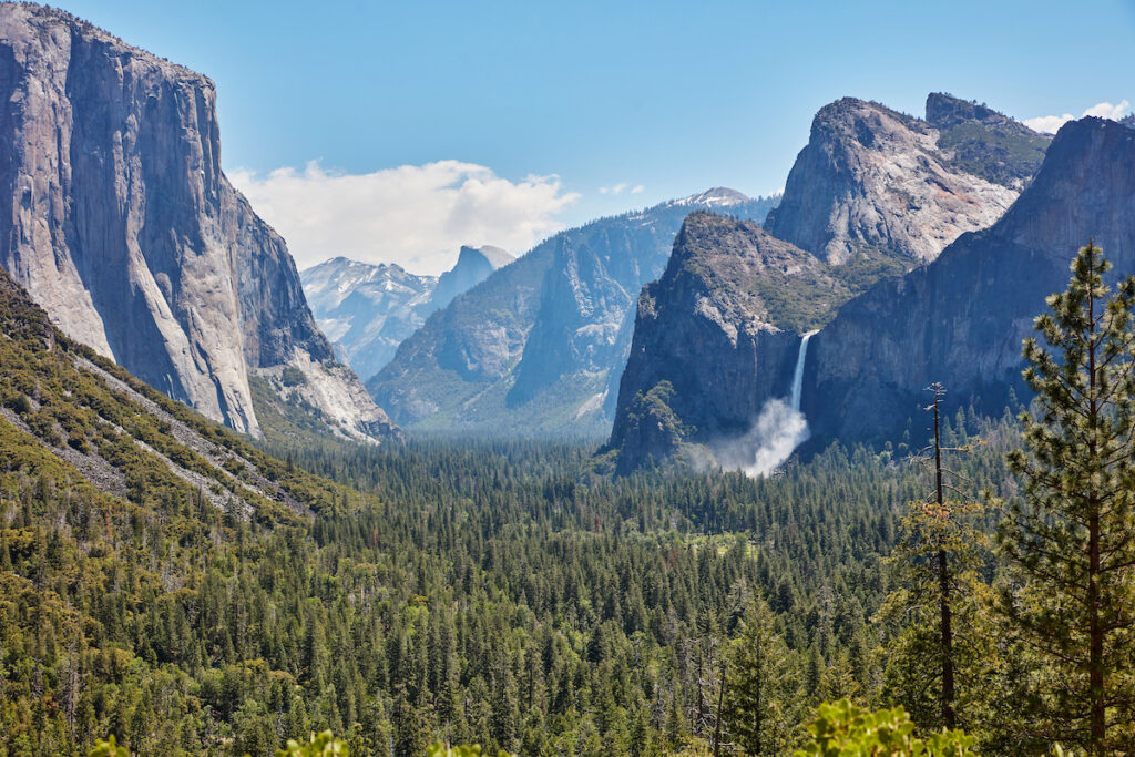 Yosemite Valley (Kim Carroll)