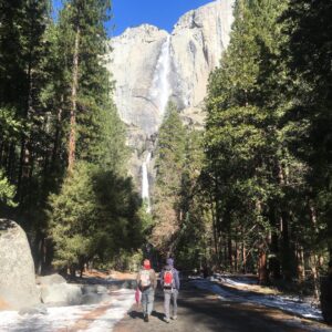 Lower Yosemite Falls Trail on a Winter Day (Matt G.)
