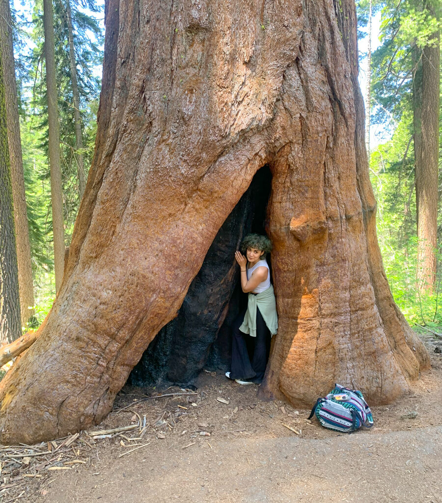 Youth Hike to Giant Sequoias
