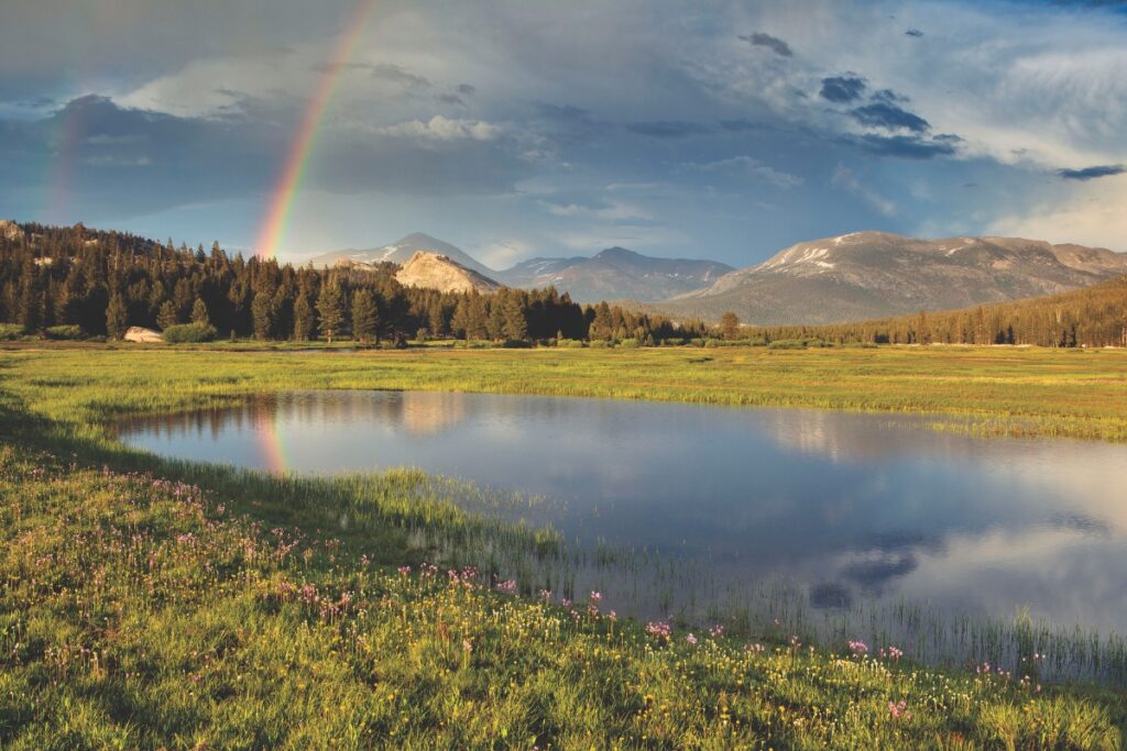 Tuolumne Meadows Rainbow
